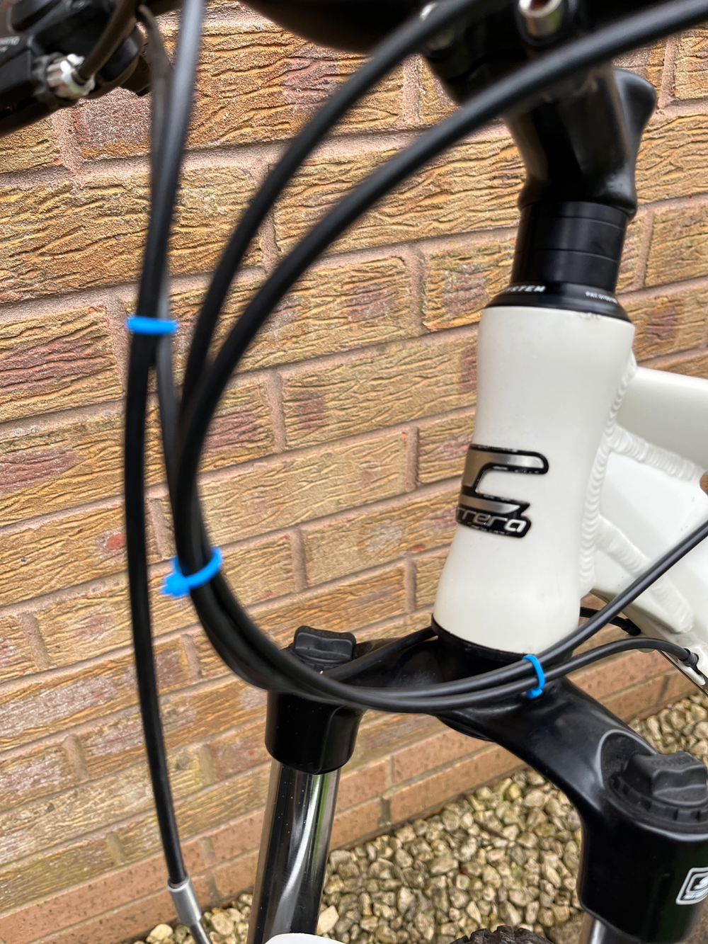 Carrera Valour Womens Mountain Bike 2020