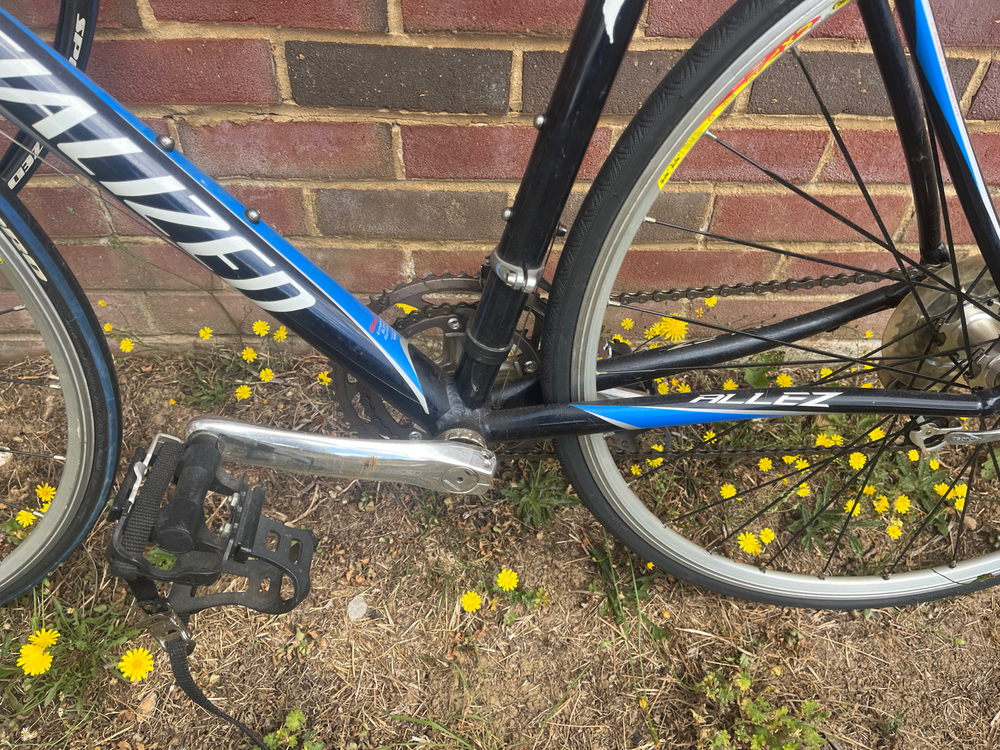 Specialized Allez Comp Road 2026