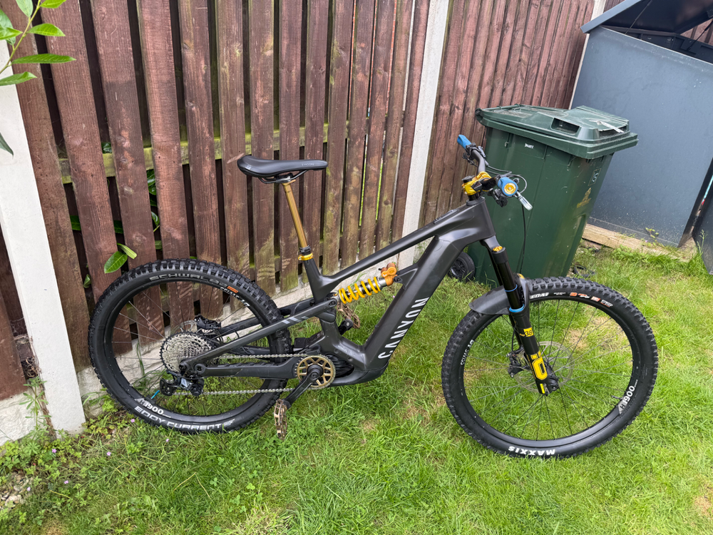 Canyon Strive:ON CFR Underdog 2024
