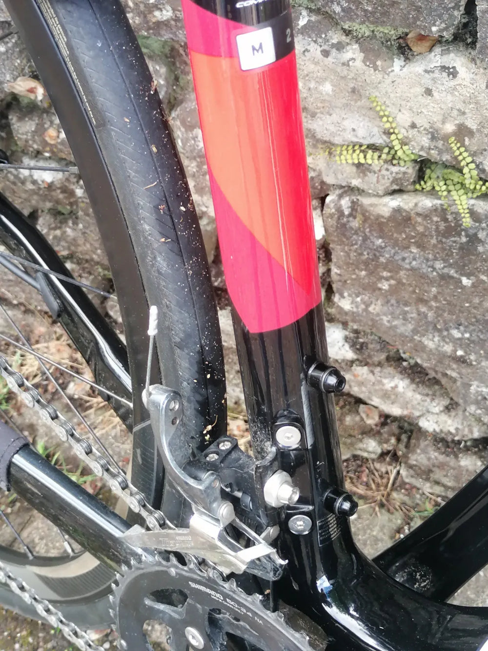 Giant Fastroad 2 2019