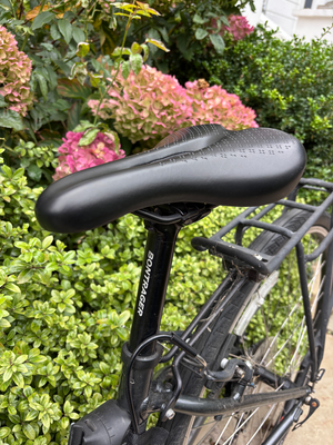 Trek FX1