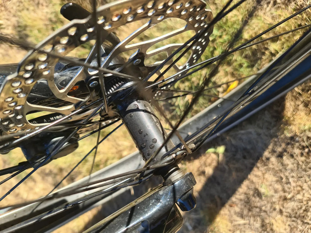 Trek Allant+ 7 2024