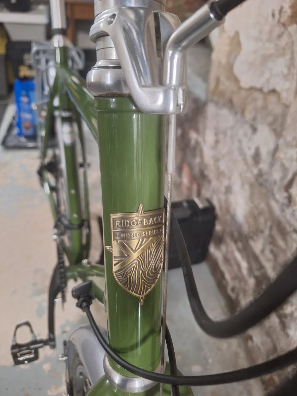 Ridgeback Voyage 2021