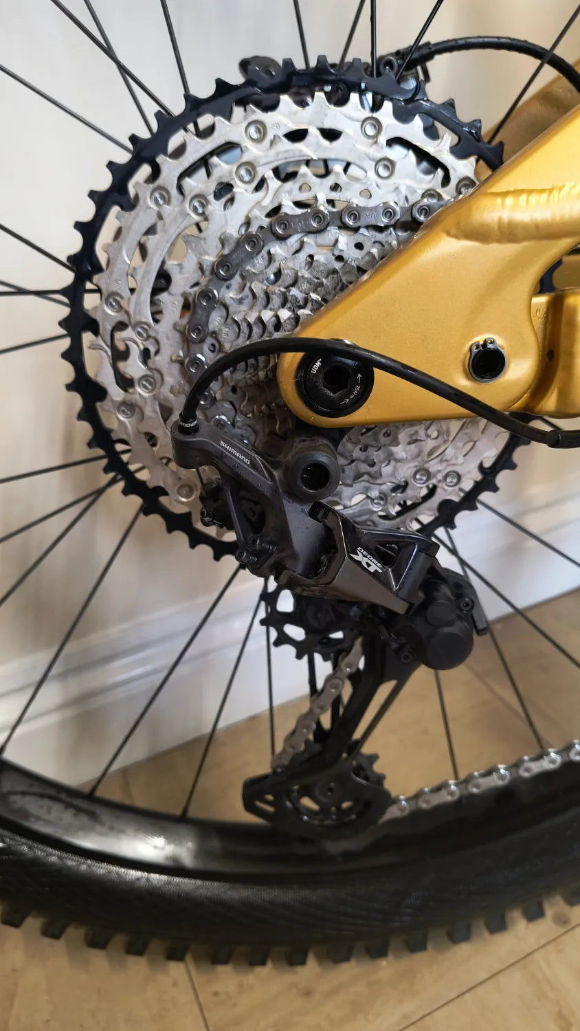 Lapierre Overvolt am 8.7 2024