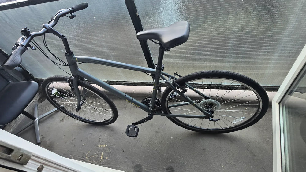 Raleigh Detour 1 2021