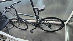 Raleigh Detour 1 2021