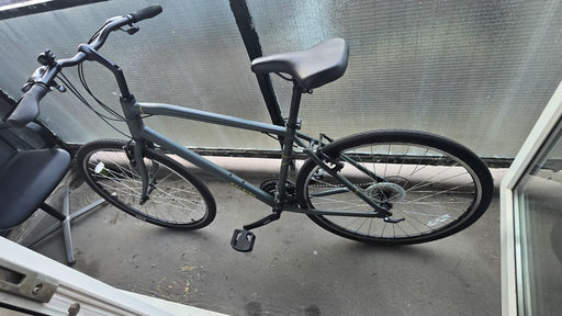 Raleigh Detour 1 2021
