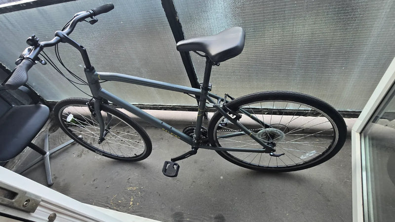 Raleigh Detour 1 2021