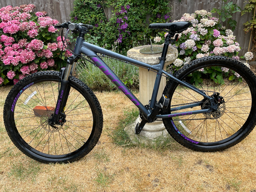 Carrera Vengeance , 2024