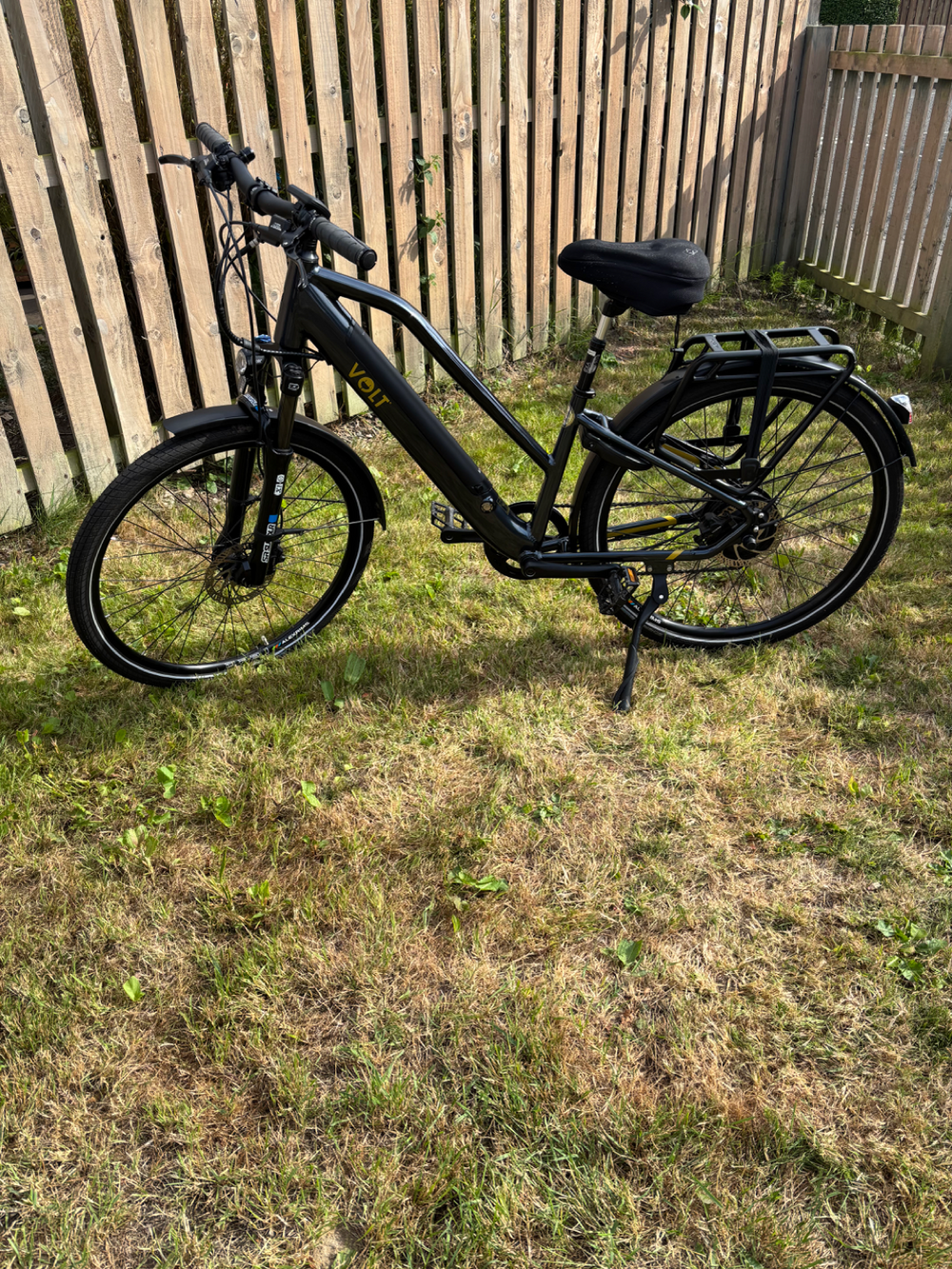 Volt Pulse Ls 2024