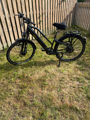 Volt Pulse Ls 2024