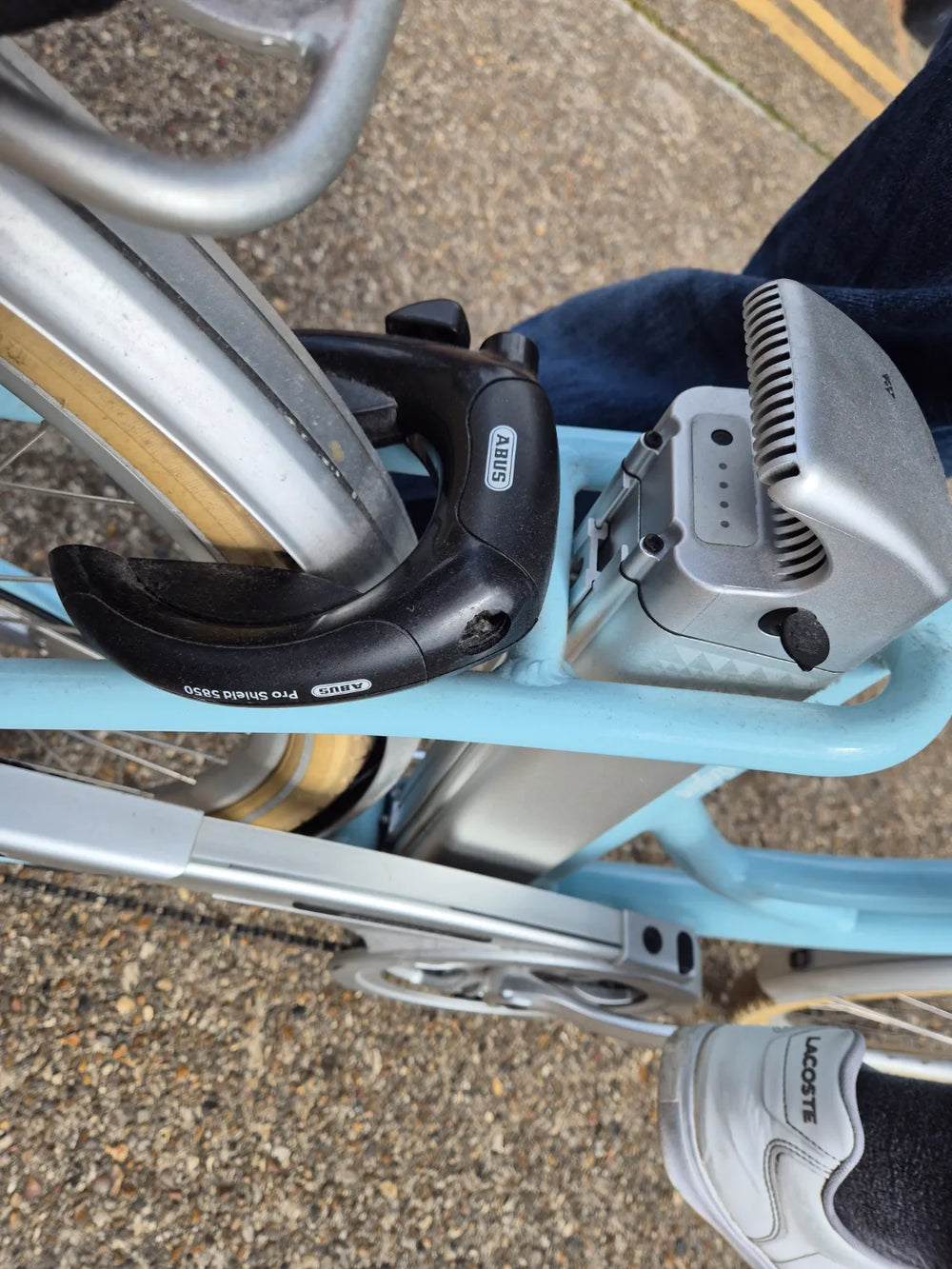 Volt Kensington 2020