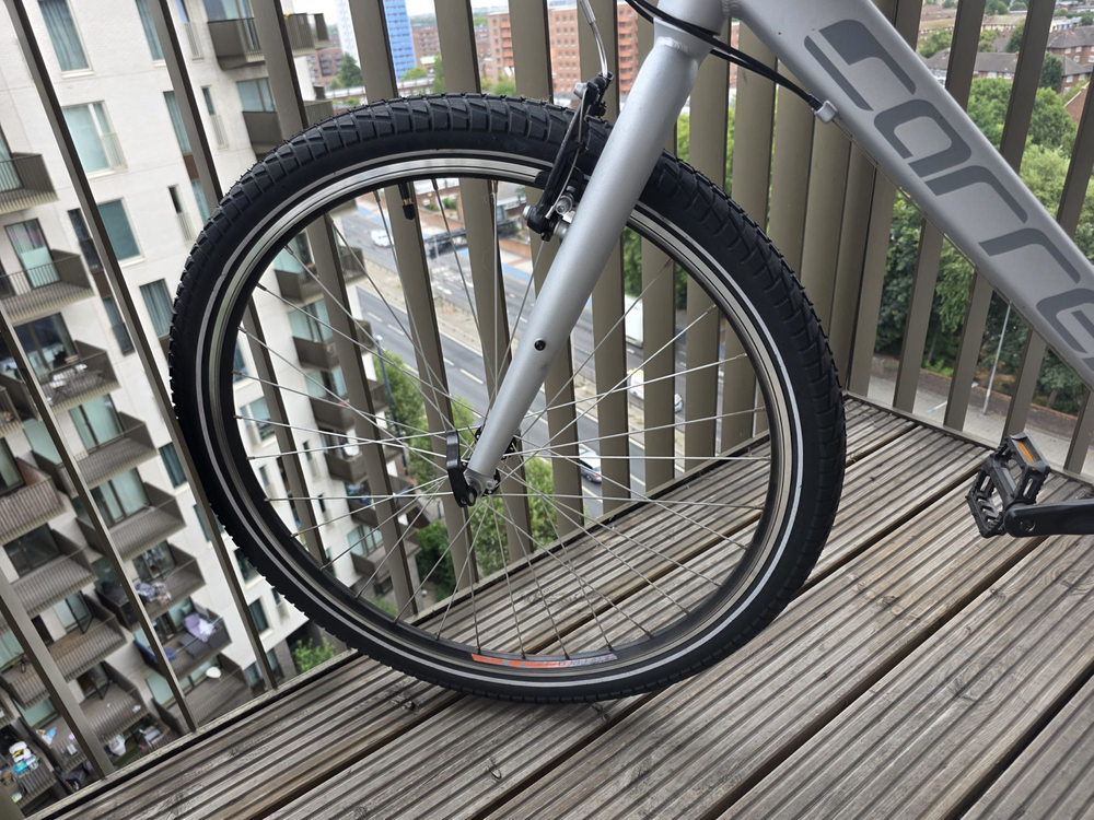 Carrera Parva 2020