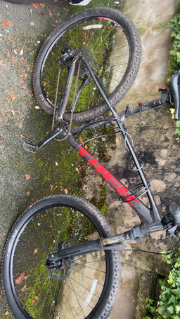 Trek Marlin 5 Gen 3 2024