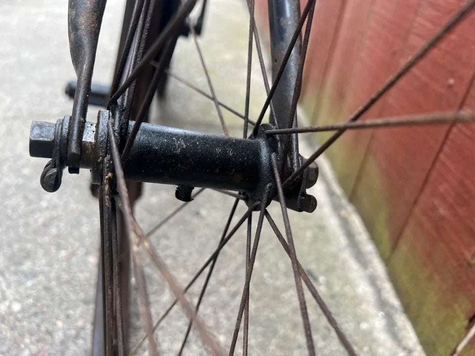 Raleigh Special 2017