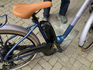 Raleigh Array E Motion Low Step 2022