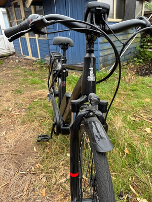 Raleigh Motus Grand Tour 2019