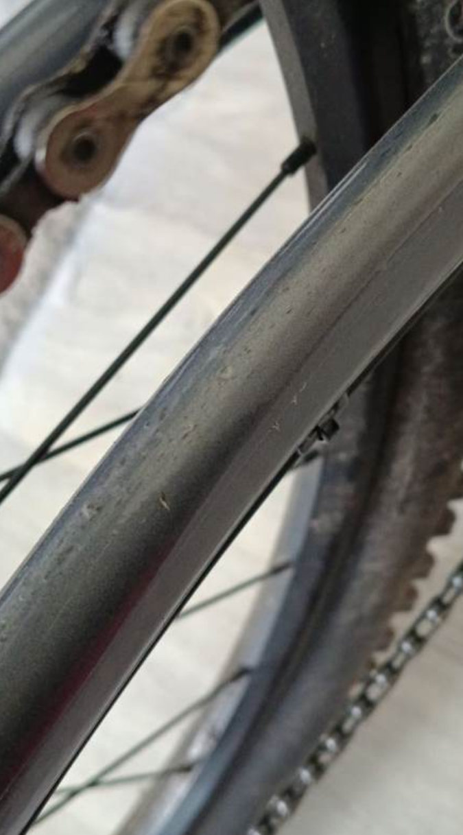 Trek Dual Sport 2 Gen 5 Hybrid 2023