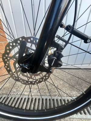 Trek Verve 2 Disc Lowstep Gen 4 2024
