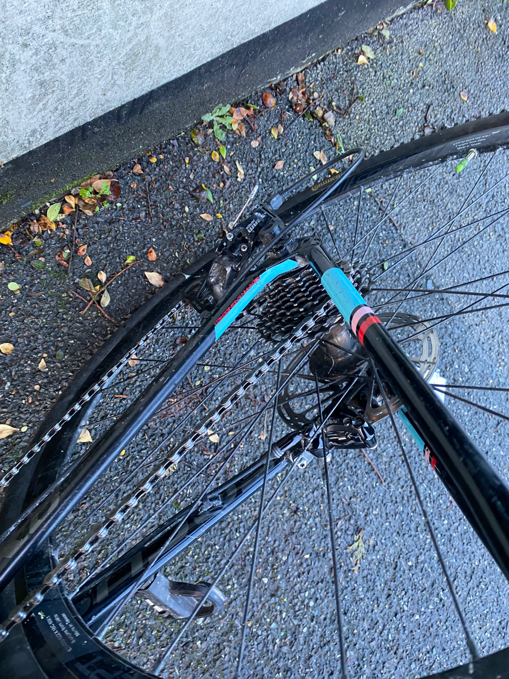 Focus MARES APEX 1 2018