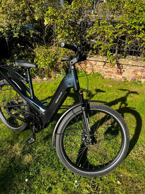 Riese and Muller Homage4 GT Rohloff 2024