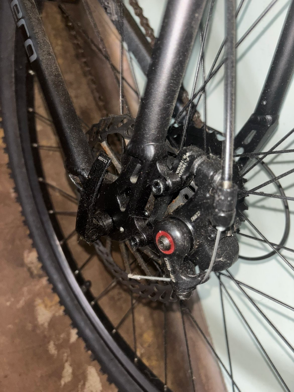 Carrera Vengeance , 2024