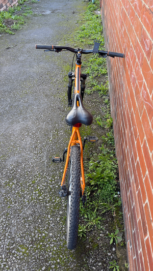 Carrera Vengeance 2019