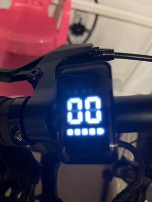 Falcon Horizon Cross Bar 2026