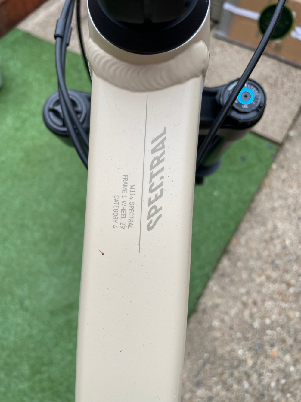 Canyon Spectral 29 AL 6 2023