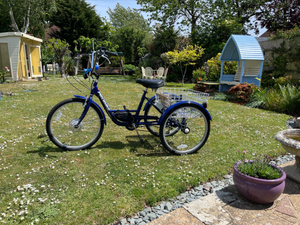 Probike Tricycle 2023