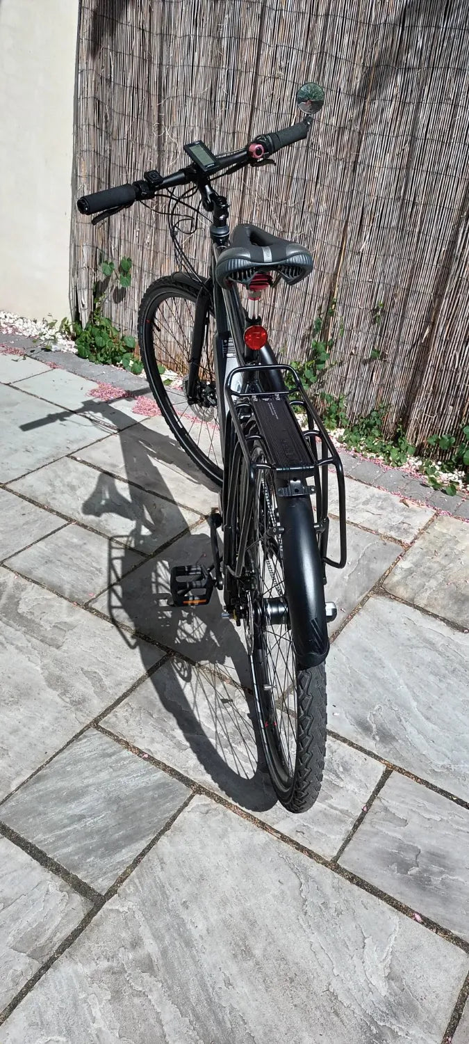 Vitus Dee VR Nexus 2021