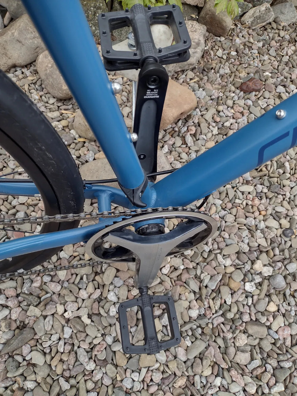 Ridgeback Flight 4.0 2019
