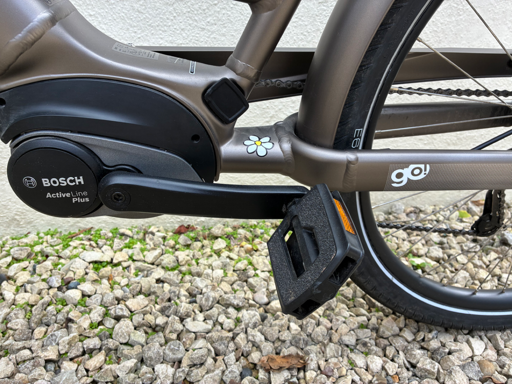 Electra Vale Go! 9D EQ 2021