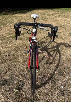 Wiggins Rouen 650 Junior 2018