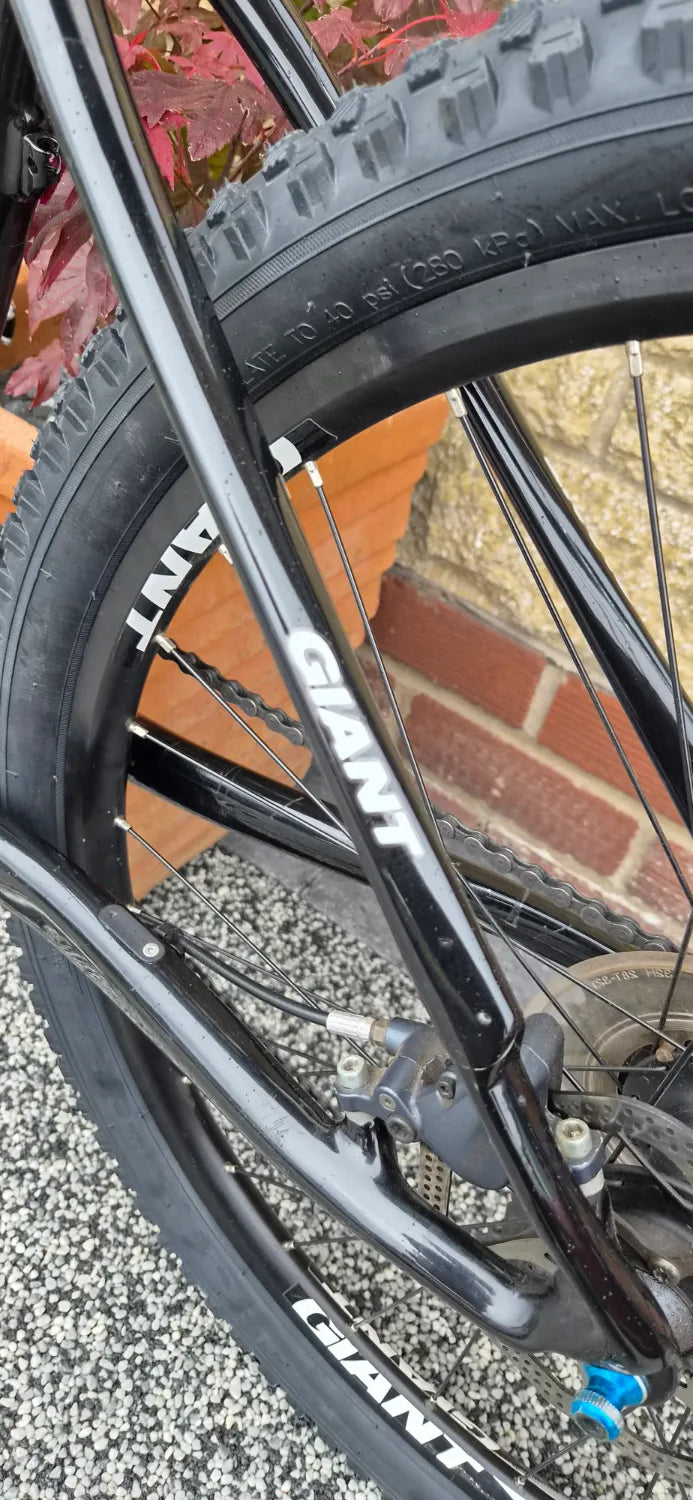 Giant Xtc Advanced 1 2017