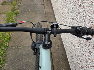 Specialized Rockhopper Expert Disc 29 Single-Speed 2009