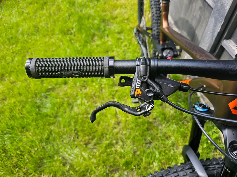 Bergamont Trailster 8 2020