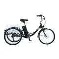 Gogobest GF100 electric tricycle 350W 2025