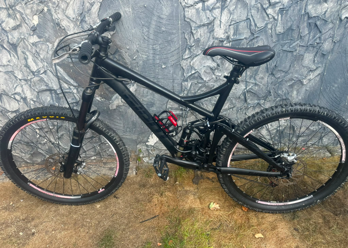Giant Reign 2 2013
