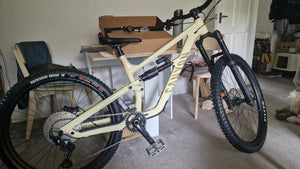 Canyon Torque Mullet AL 6 2025