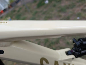 Canyon Torque Mullet AL 6 2025