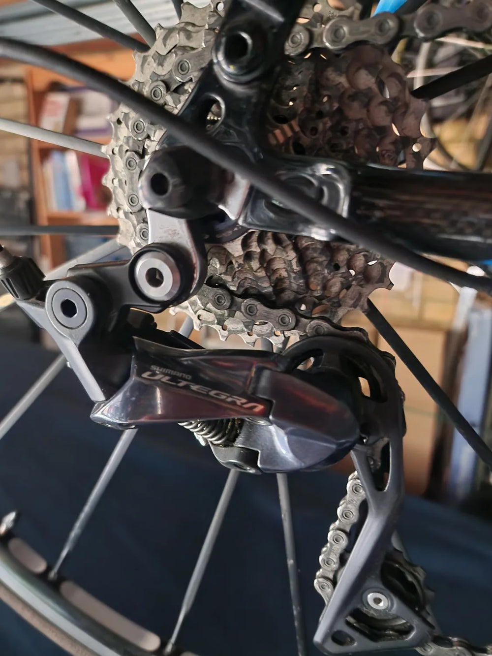 Orbea Road 2006
