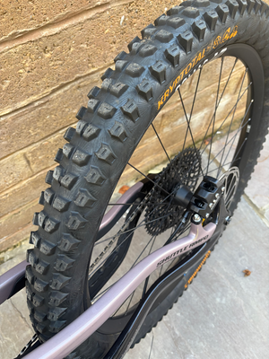 Pivot Shuttle AMP'd Pro X0 2026