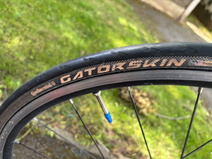 GT Sportive 2020