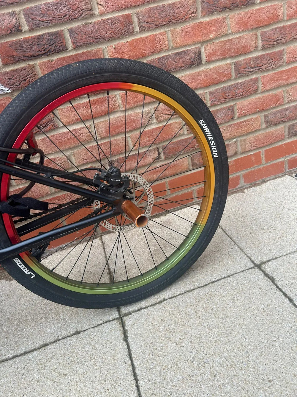 Mafia Medusa 26 2021