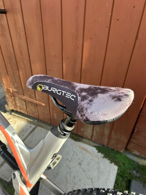 Canyon Spectral AL 6.0 2019