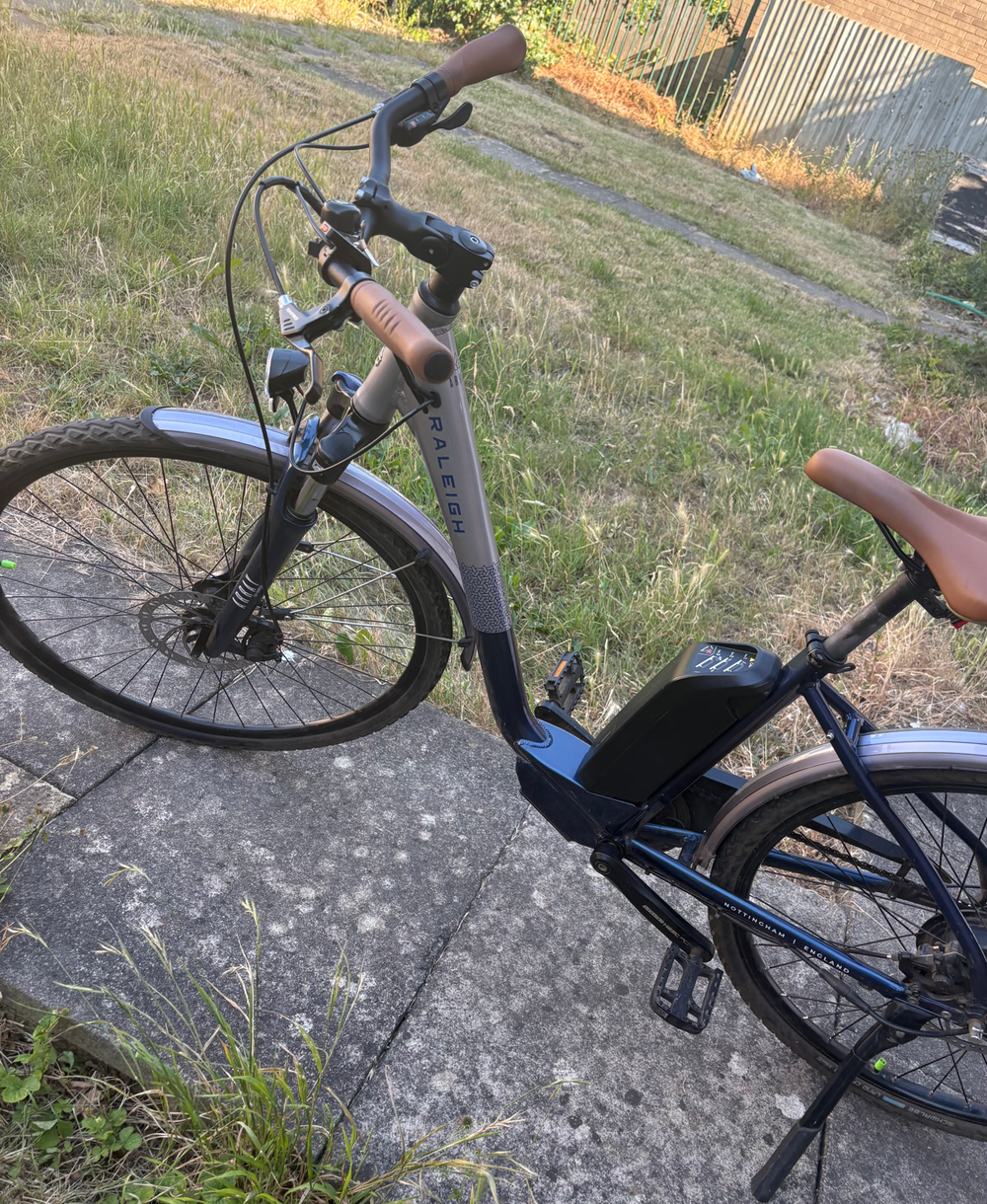 Raleigh Array Lowstep 2022