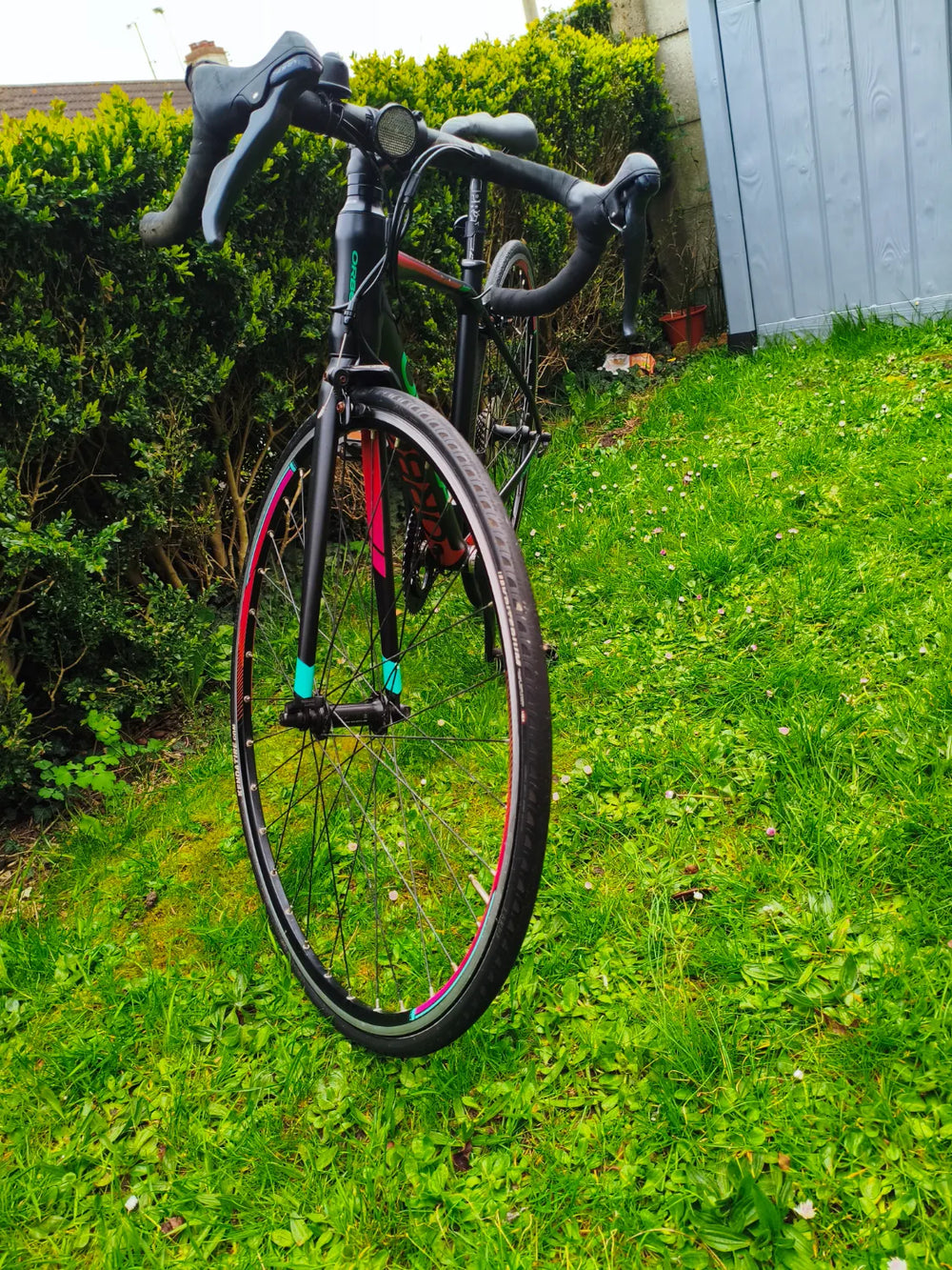 Orbea AVANT H50 2019