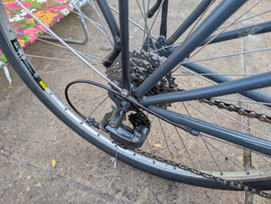 Handsome Cycles She Devil 2018