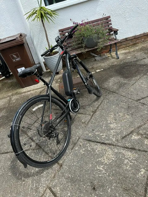 Trek Dual Sport+ 2019